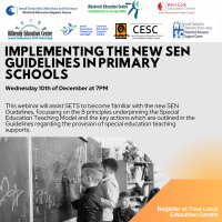 Implementing the New SEN Guidelines in Primary Schools